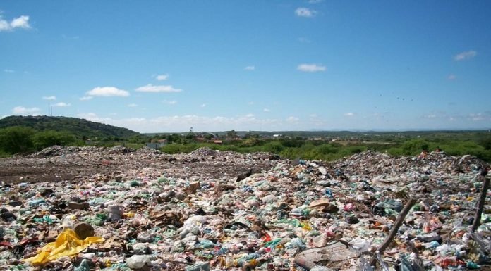 Catadores encaram rotina insalubre em aterro de Alagoinhas, diz jornal